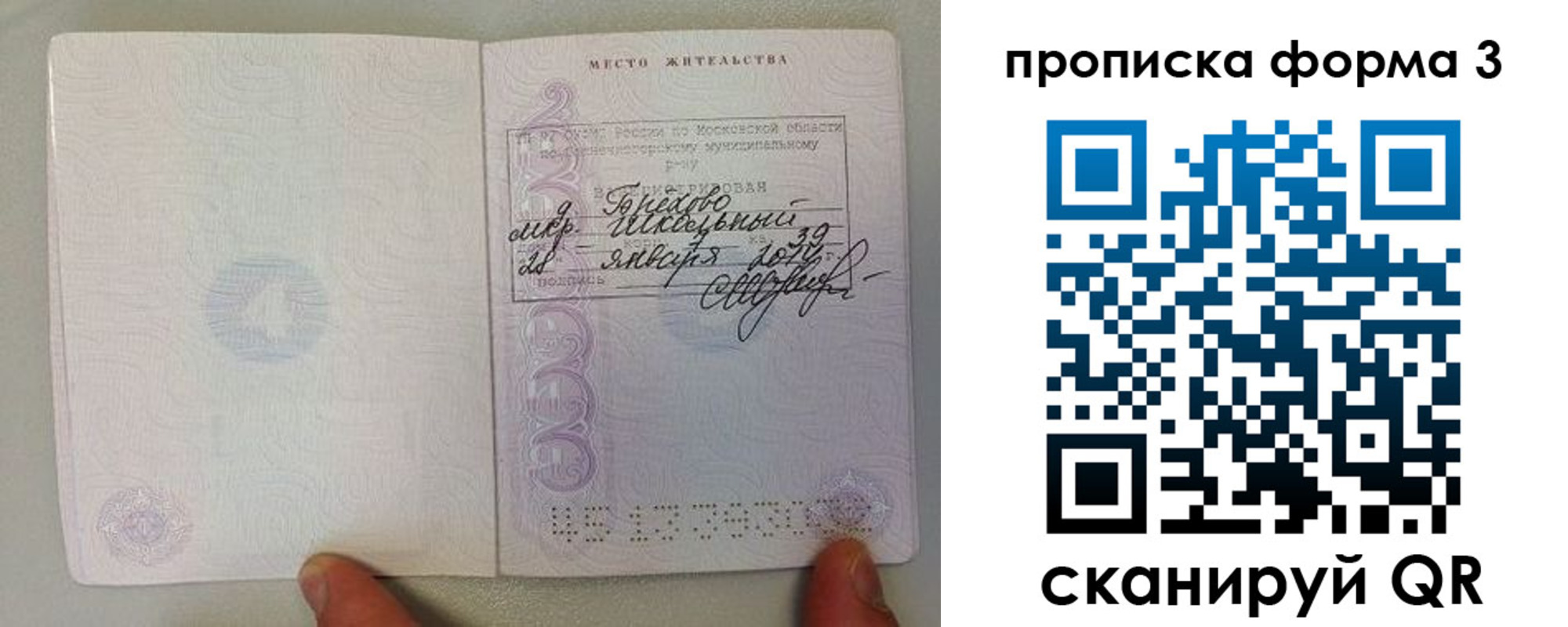 прописка гарантия в Заволжске